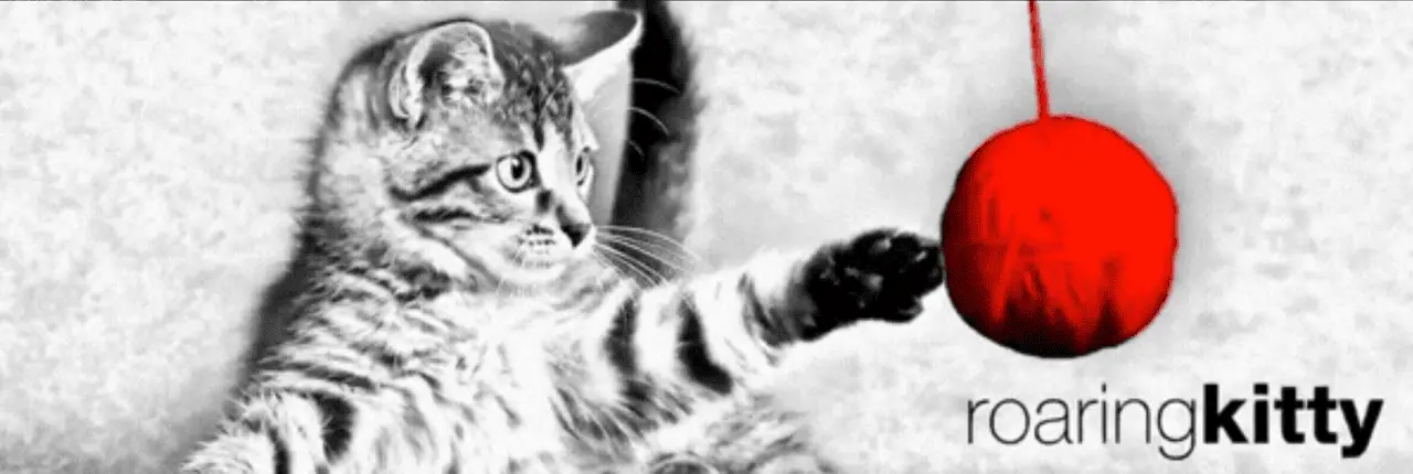 Roaring Kitty Banner