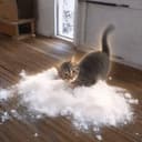 COKECAT
