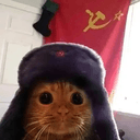 ушанка
