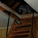 ATCOON