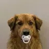 PACIFIER