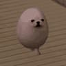 狗蛋