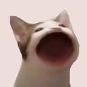 POPCAT