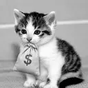 COPYCAT