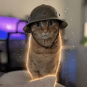 trenchcat