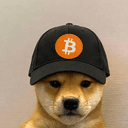 dog.bitcoin