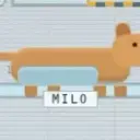 MILO