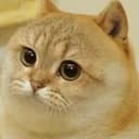 CATE