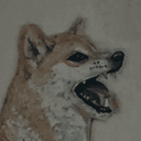 POPDOGE