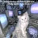 QCAT
