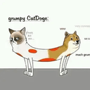CatDoge