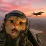 warcat