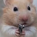 HAMWIFGUN