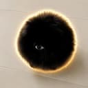 Floof