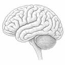 BRAINVIRUS