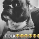 FLK