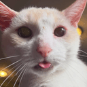 blepcat