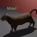 miau