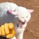 Yuki