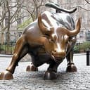 BULL