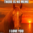 ILY
