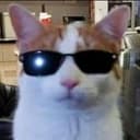 COOLCAT