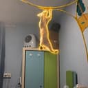 Sisypuss