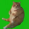 Chonk