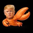 Trump Claw