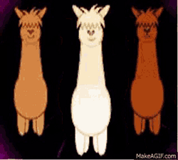 0LLAMA