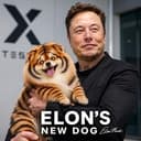 ELONXDOG