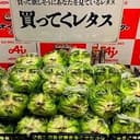 生菜脸
