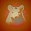 rat