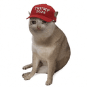 TRUMPCAT