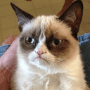 grumpy