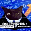 华尔街之咪