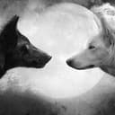 Wolves