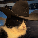 CHARCAT