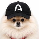 dogwifarc
