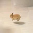 hop