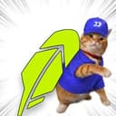 ROBINCAT