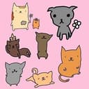 CATS