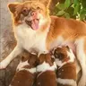 王王