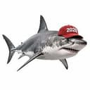 Shark2028