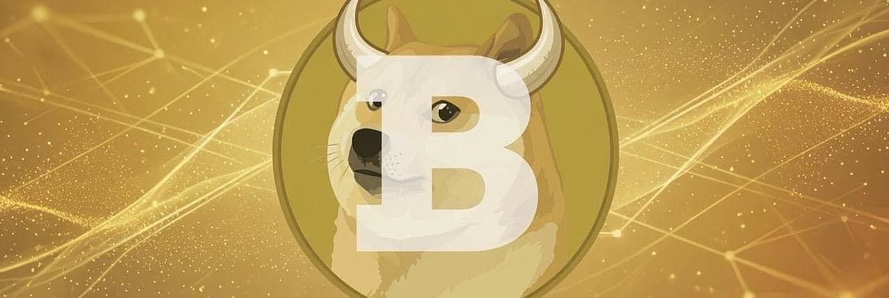 Bogecoin Banner