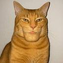 GIGACAT