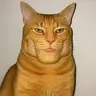 GIGACAT
