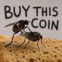flysex