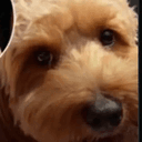 TOBY