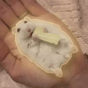 HOI